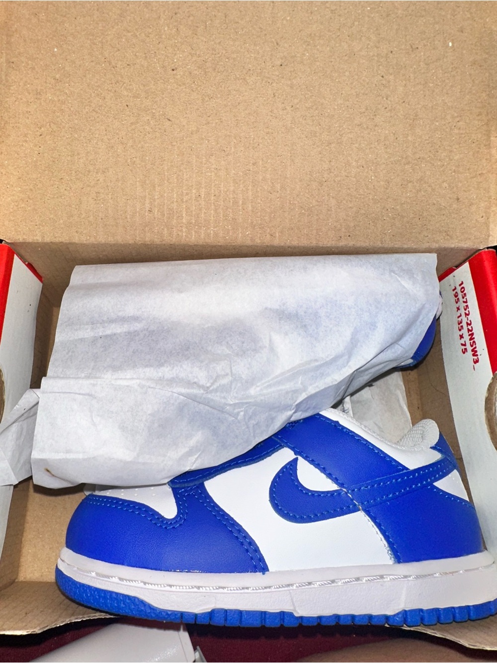 Nike Kids Blue and White Hook-and-Loop Sneaker